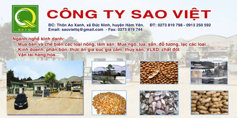 Công ty TNHH Sao Việt Tuyên Quang