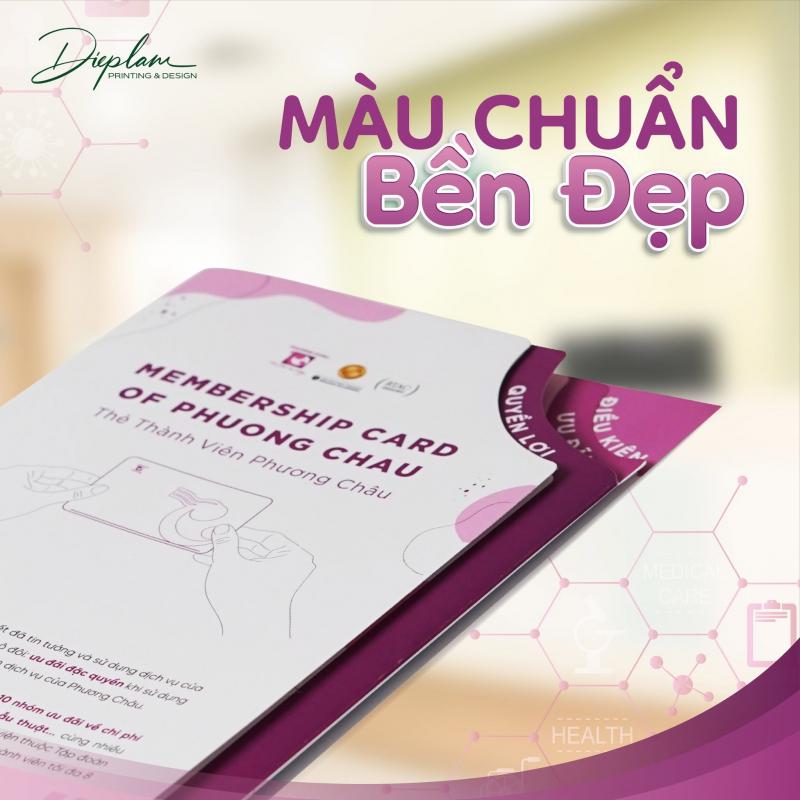 CÔNG TY TNHH SX TM IN ẤN DIEPLAM
