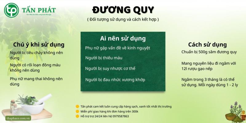 Công ty TNHH Thảo Dược THAPHACO (Tấn Phát Group)