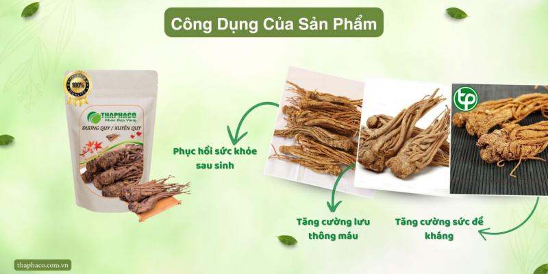 Công ty TNHH Thảo Dược THAPHACO (Tấn Phát Group)