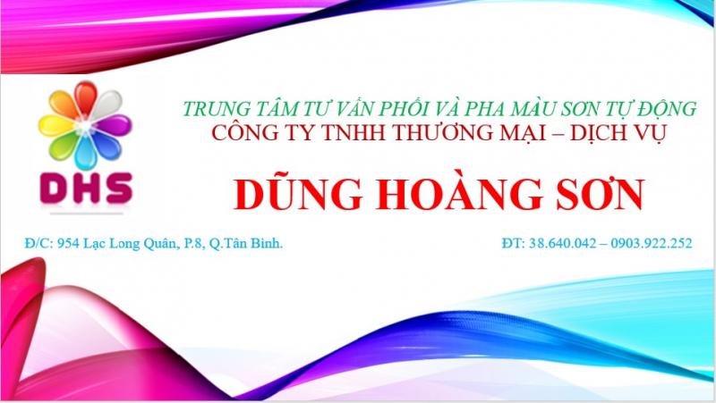 Công Ty TNHH Thương Mại Dịch Vụ Dũng Hoàng Sơn