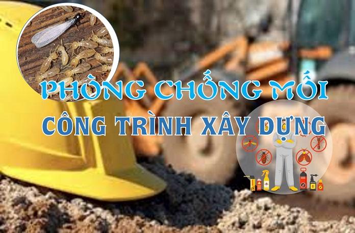 Diệt mối côn trùng Việt