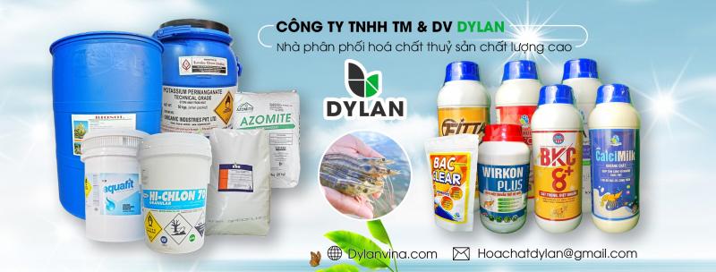 Công Ty TNHH Thương Mại Và Dịch Vụ DYLAN