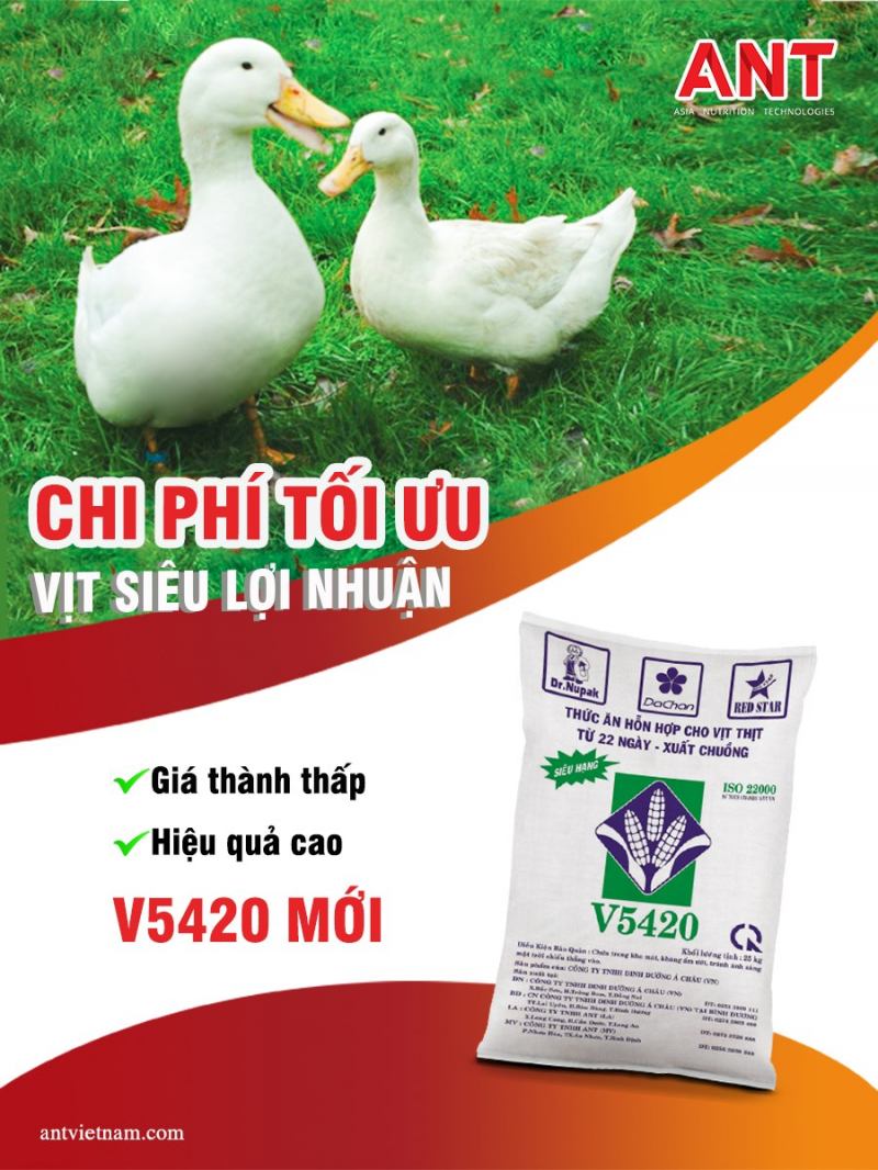 Công ty trách nhiệm hữu hạn Dinh dưỡng Á Châu (ANT)