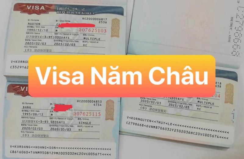 công ty Visa Năm Châu