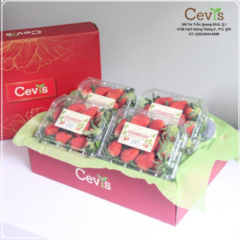 Công ty xuất nhập khẩu trái cây Cevis