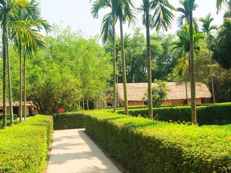 Ảnh minh hoạ (Nguồn internet)