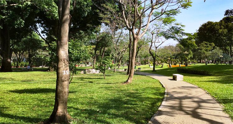 Công viên Gia Định trồng rất nhiều cây xanh vì vậy có không khí vô cùng mát mẻ