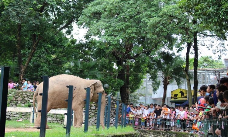 Khu động vật ở công viên