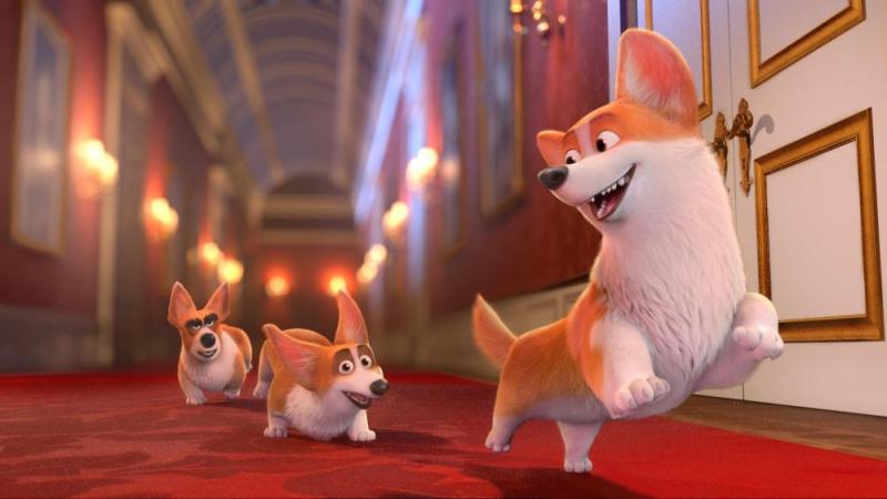 Corgi: Những chú chó hoàng gia