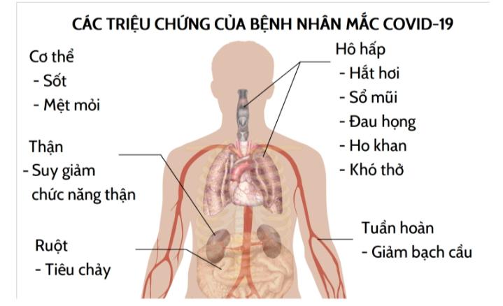 Các triệu trứng của bệnh nhân Covid-19