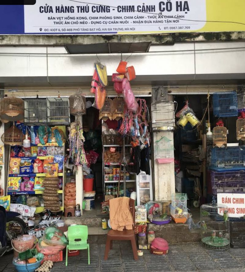 Cửa hàng chim cảnh Cô Hạ