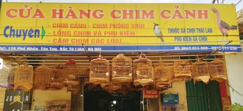 Cửa Hàng Chim Cảnh Hà Thúy