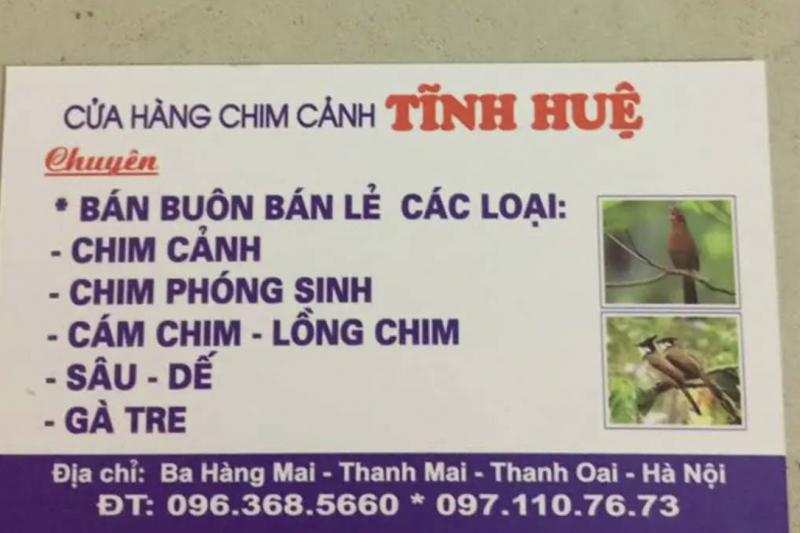 Cửa hàng chim cảnh Tĩnh Huệ