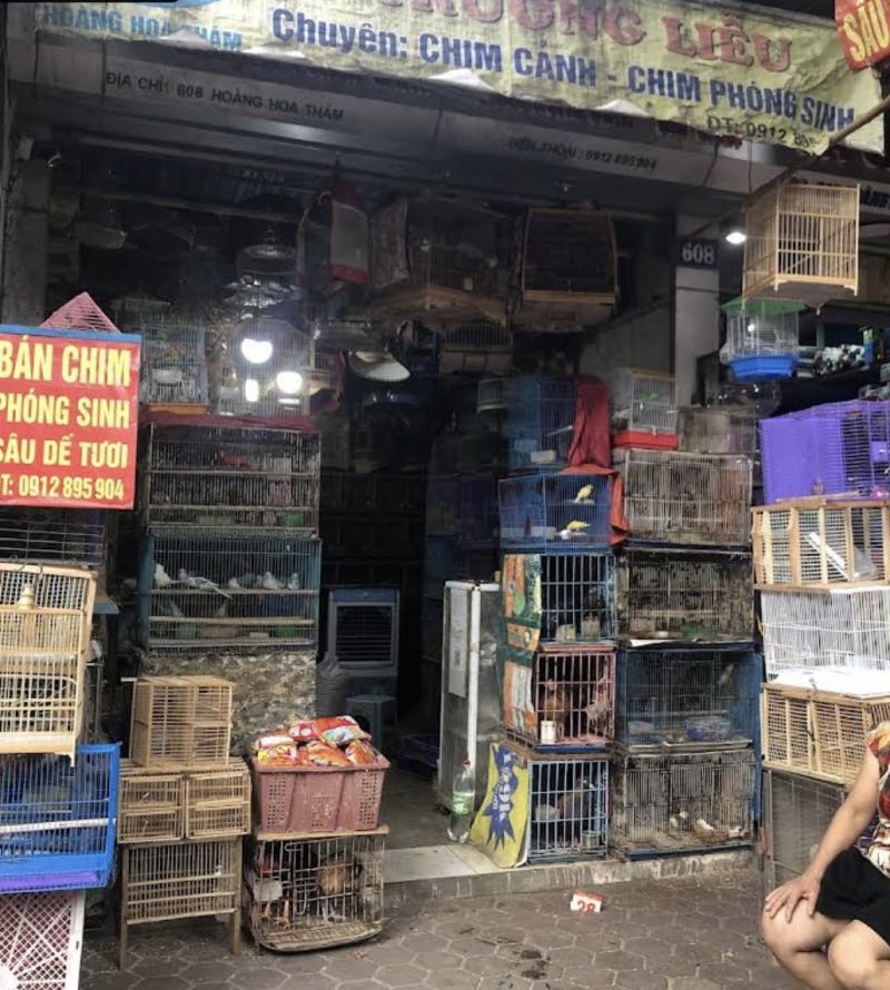 Cửa Hàng Chim Cảnh - Trường Liễu