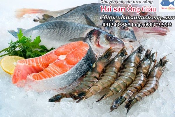 địa chỉ mua hải sản tươi sống uy tín, chất lượng tại thành phố Hồ Chí Minh