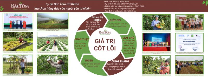 Cửa hàng rau sạch Bác Tôm