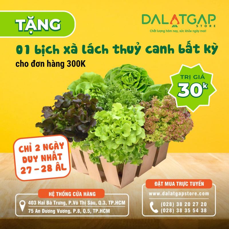 Cửa hàng rau sạch Đà Lạt GAP Store