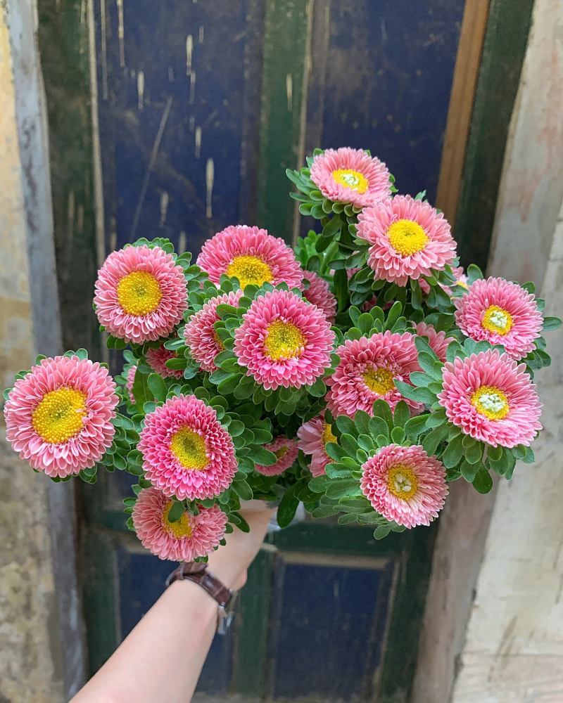 Cửa hàng Talia Flower Shop