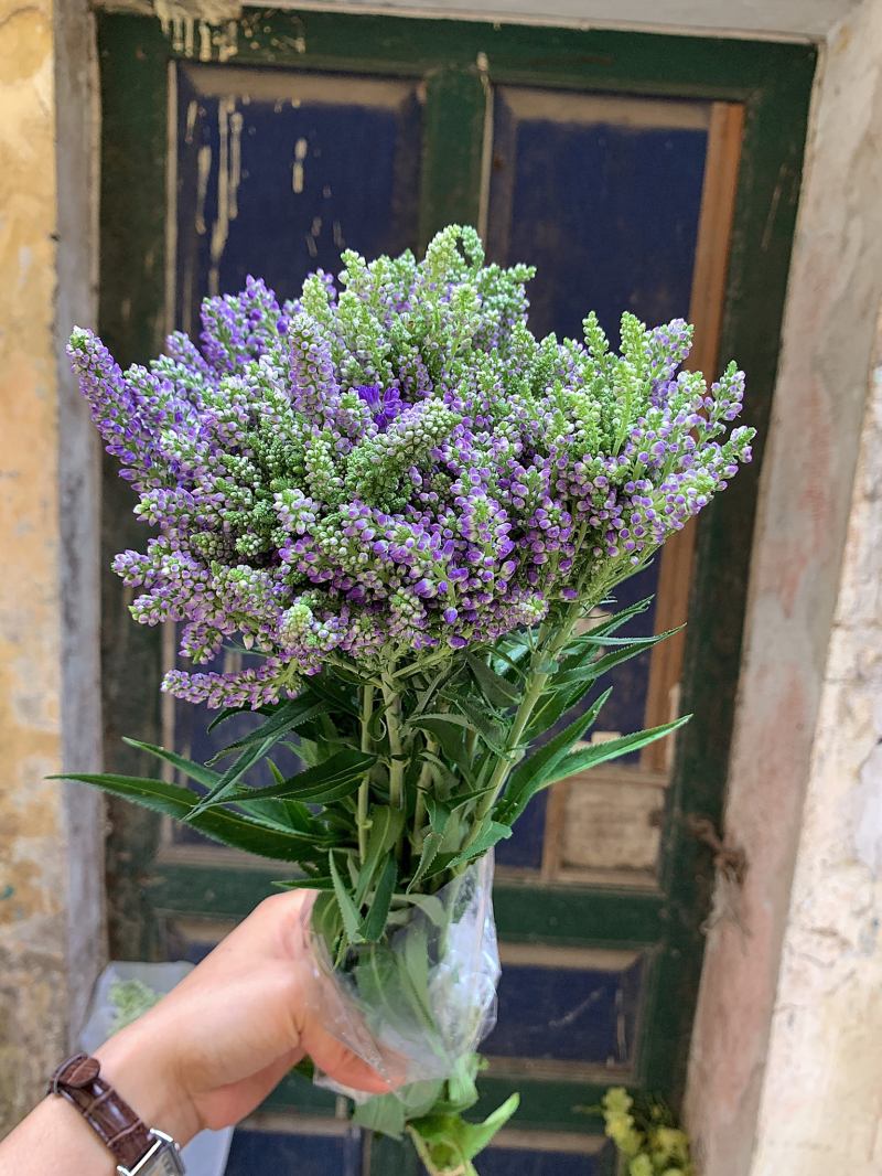 Cửa hàng Talia Flower Shop