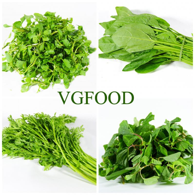 VietGreenFood