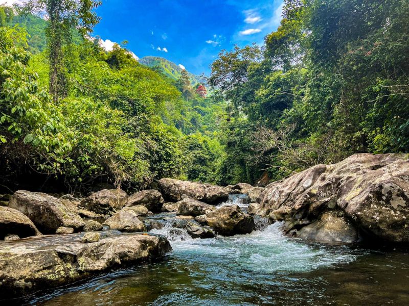 Cửa Tử Thái Nguyên