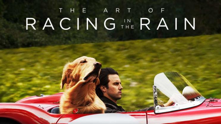 Cuộc Đời Phi Thường Của Chú Chó Enzo - The Art Of Racing In The Rain
