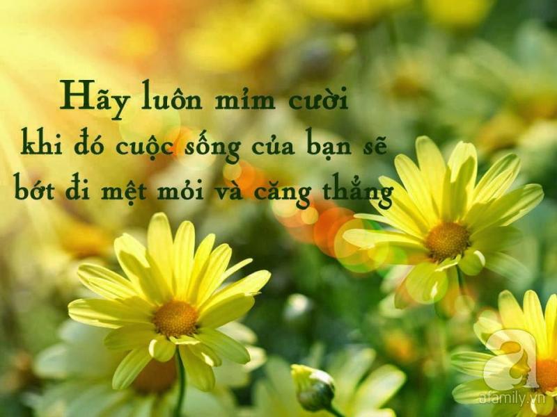 Cuộc sống vẫn đầy rẫy thú vị