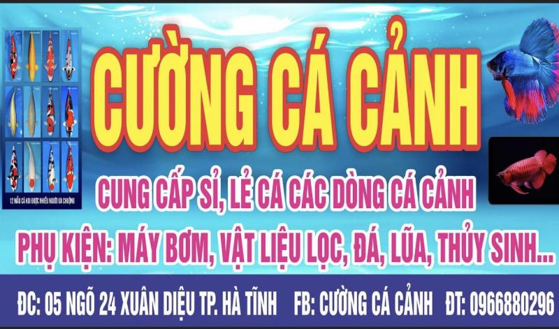 Cường cá cảnh HT