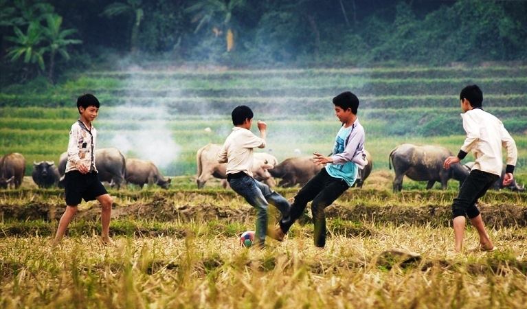 Sở Giáo Dục Và Đào Tạo Vĩnh Phúc