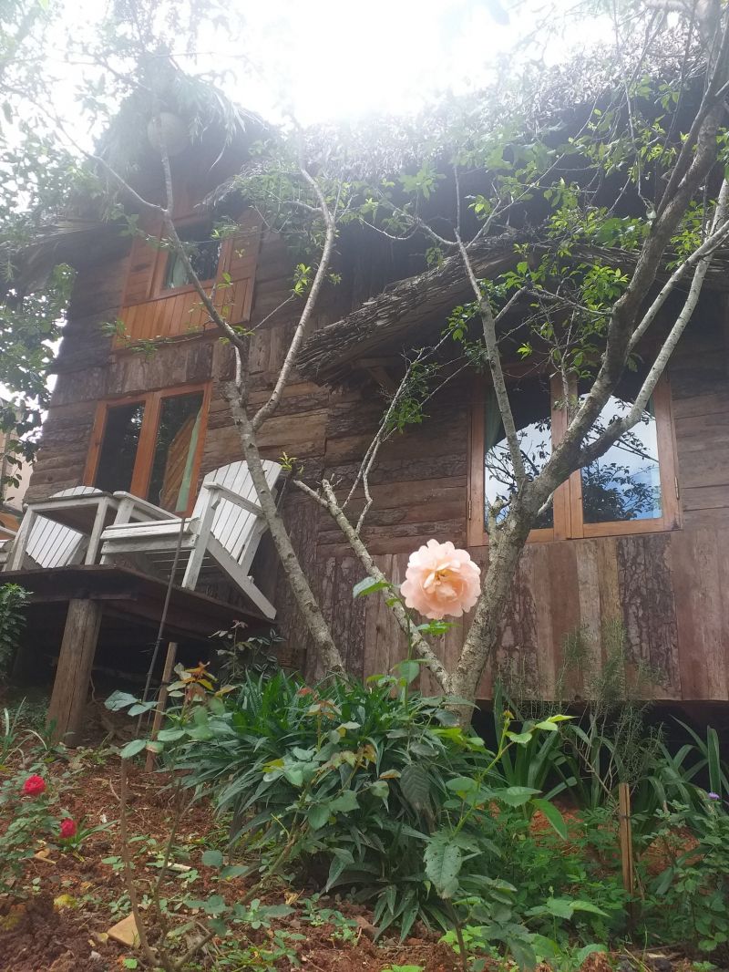 Đà Lạt Củi Homestay