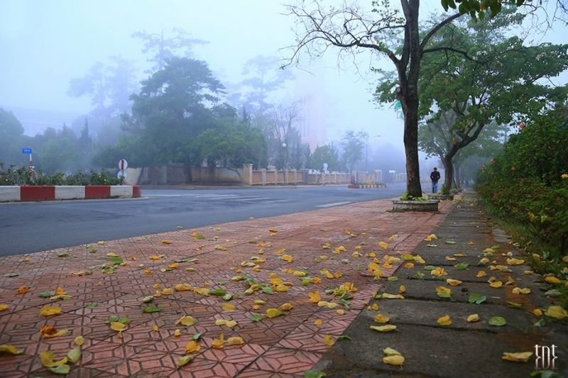 Sắc thu Đà Lạt