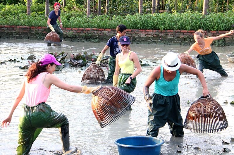 Chuyến dã ngoại trải nghiệm về vùng quê