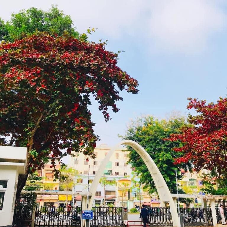 Chiêc cổng Parabol đặc trưng của Đại học Bách khoa Hà Nội
