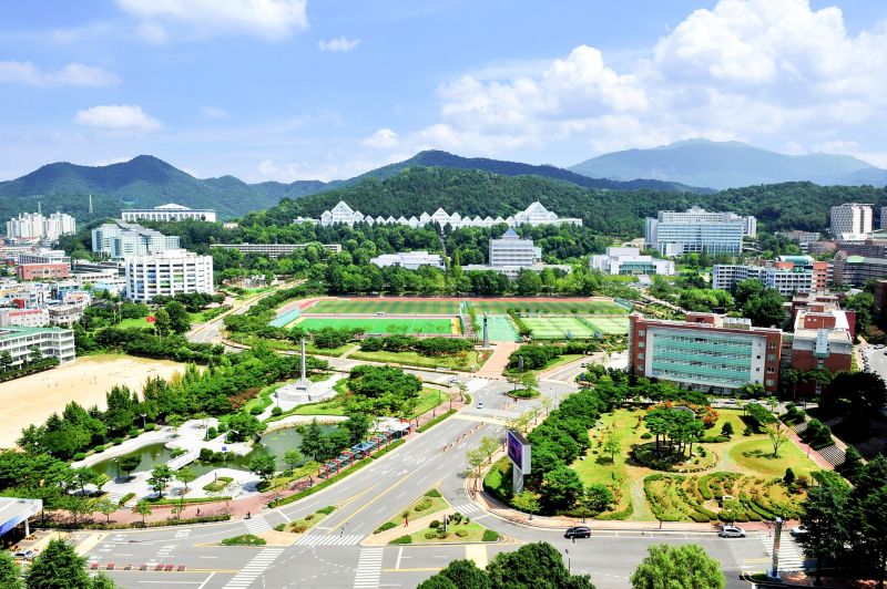 Đại học Chosun