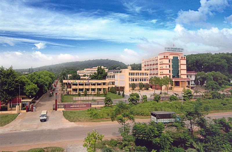 Đại học Lâm nghiệp