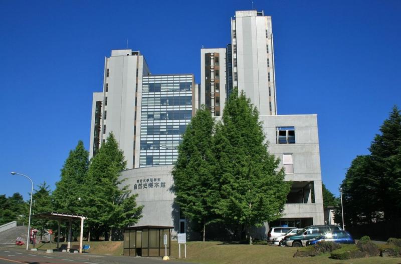 Top 10 Trường đại học nổi tiếng nhất Nhật Bản - Tinh Vệ