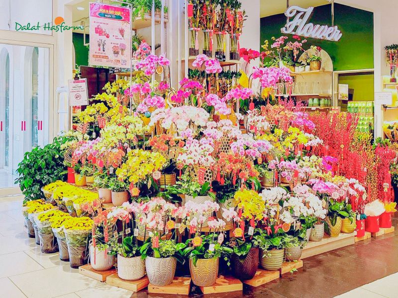 Dalat Hasfarm Flower Shop