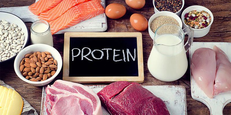 So với chất béo, tinh bột thì protein cũng đòi hỏi cơ thể đốt cháy nhiều năng lượng hơn để tiêu hóa.