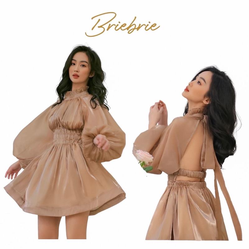 Đầm Jasmin mini dress Briebrie cao cấp chất liệu organza óng, sang chảnh - 251