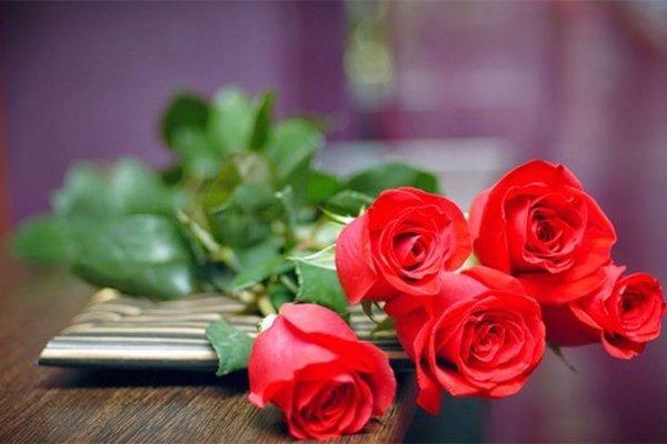 Dẫn chứng 10: Câu chuyện hoa hồng tặng mẹ