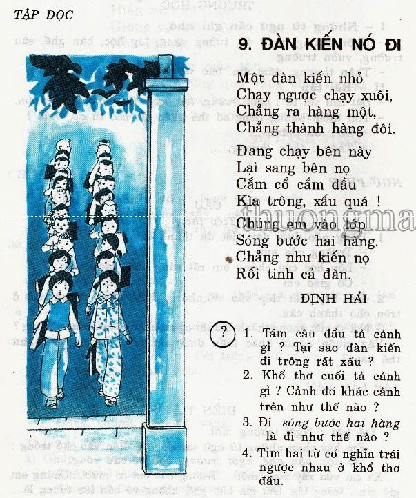 Đàn kiến nó đi