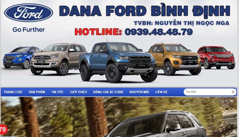 Dana Ford Bình Định