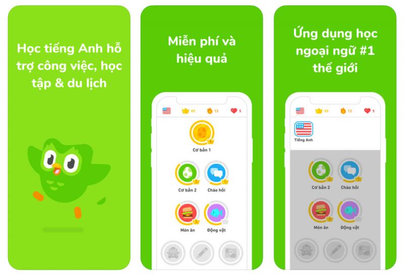 Duolingo giúp ích học tiếng Anh hiệu quả