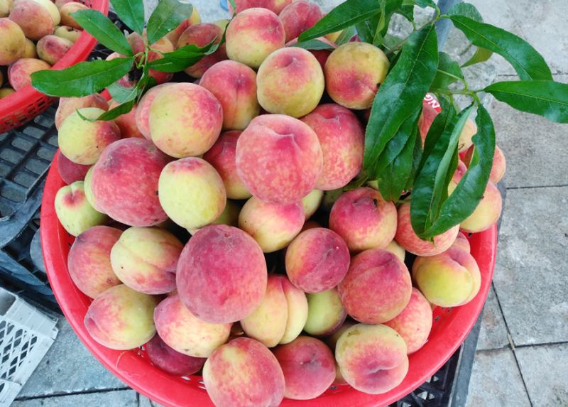 Top 11 Loại trái cây nên ăn vào ngày Tết giúp may mắn cả năm