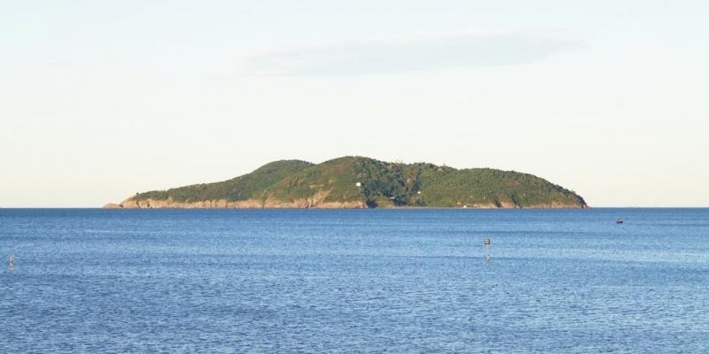 Đảo Hòn Ngư