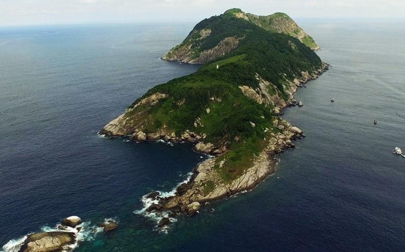 Đảo Rắn, Brazil