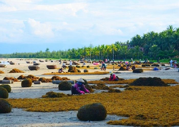 Đảo Tam Hải - Quảng Nam