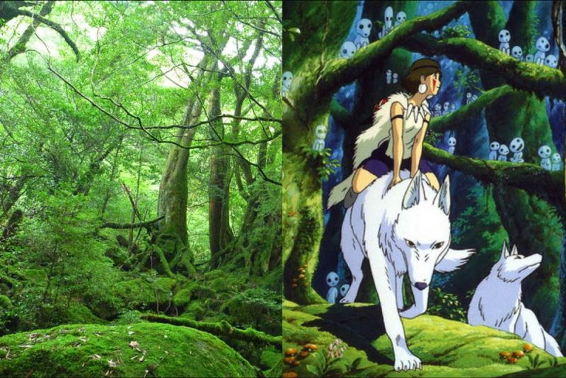 Đảo Yakushima – Mononoke Princess