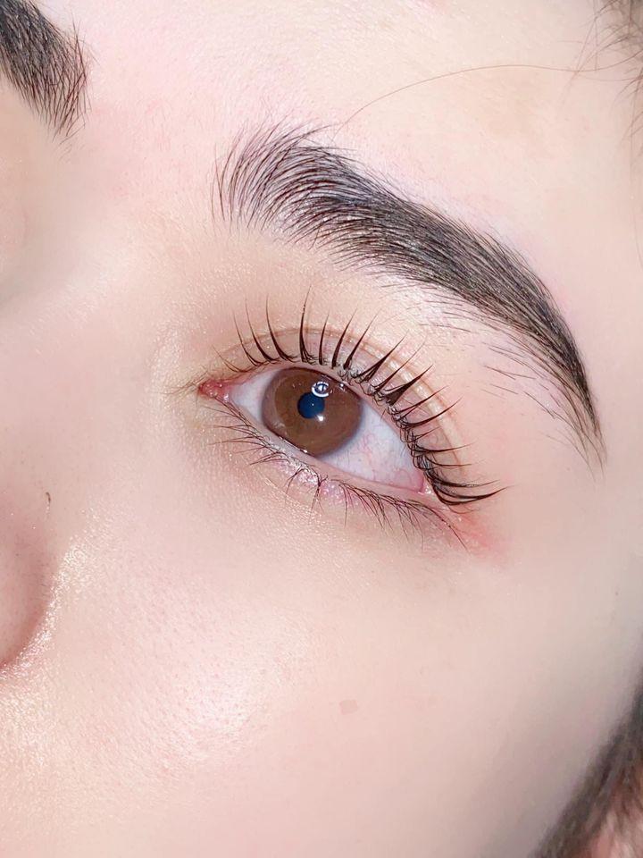 Dâu Eyelash